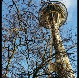 Meet your Posher, Scarlett